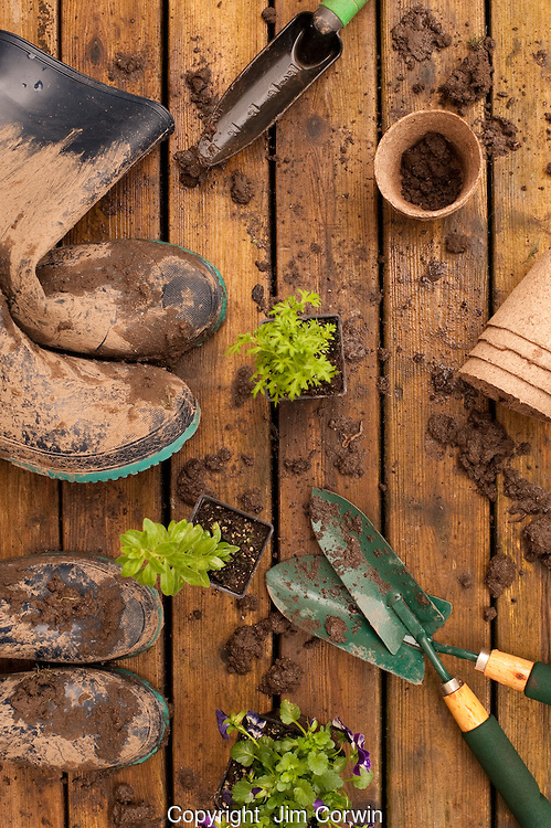 Muddy Boots and Gardening Tools with flowers